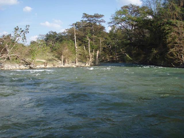 Clear green water of the Guadalupe River