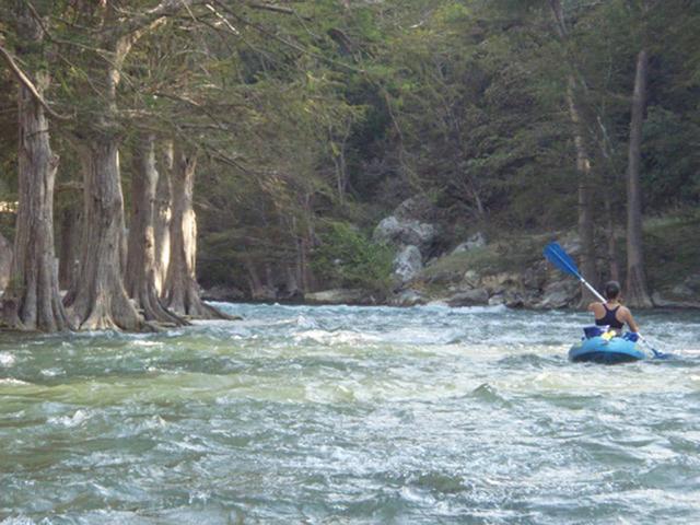 Kayaker heading downriver through the cypress trees