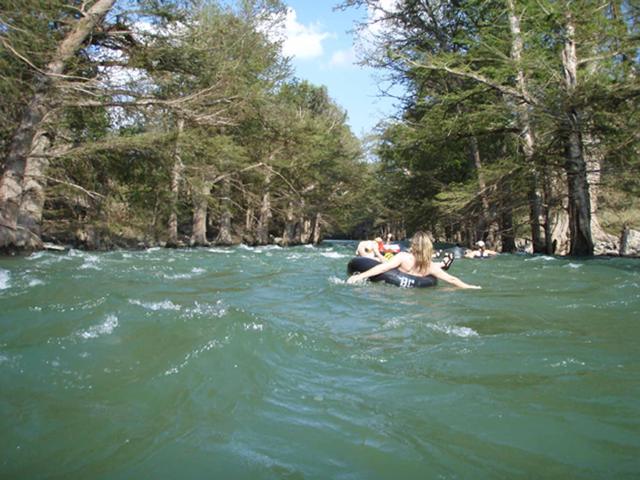 Tubers riding a riffle under the cypress trees